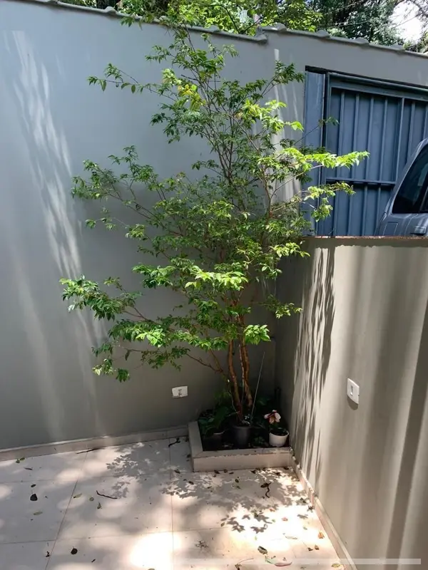 Casa com 4 quartos em Jardim Peri Peri - foto 2