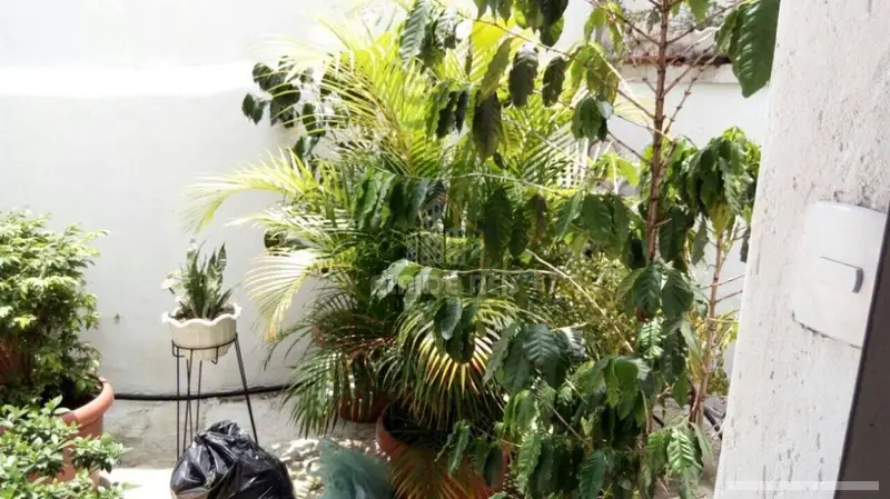 Casa - 1 quartos - Pinheiros - São Paulo - foto 5