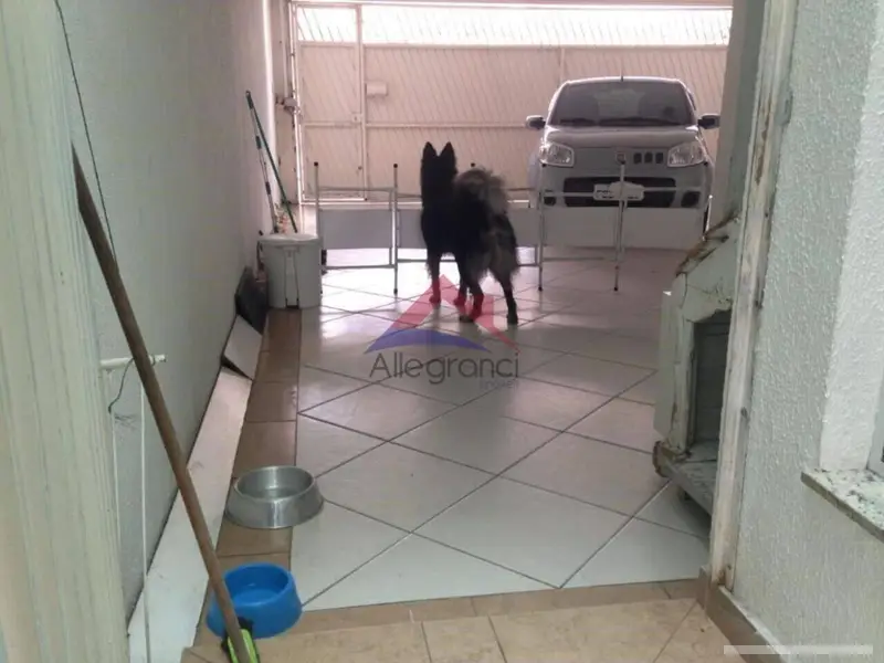 Casa com 33 quartos em Vila Moreira - foto 5