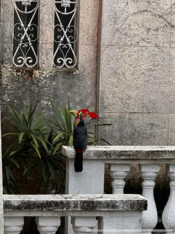 Casa com 7 quartos em Chácara Santa Lúcia dos Ypes - foto 2