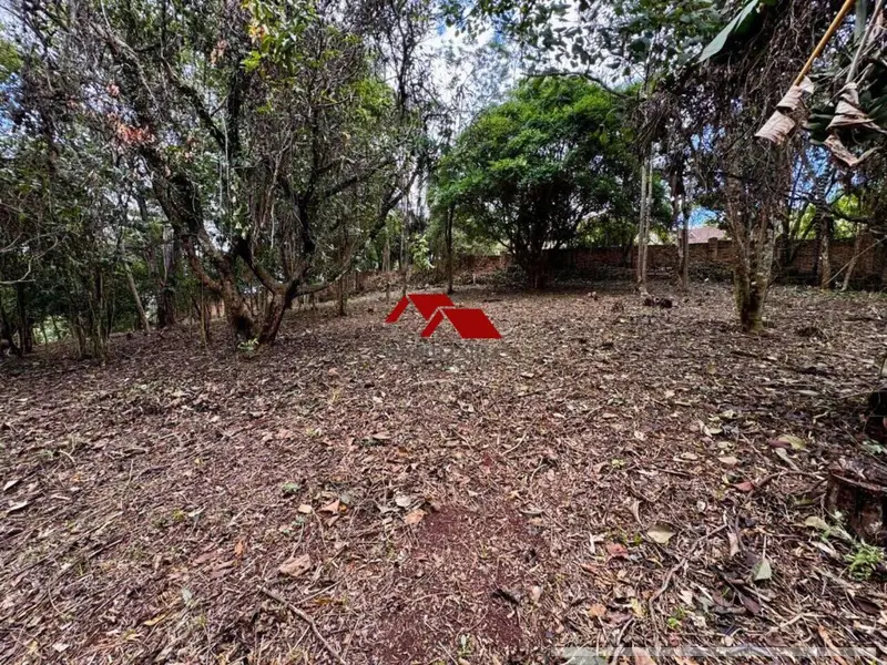 Casa com 7 quartos em Chácara Santa Lúcia dos Ypes - foto 4