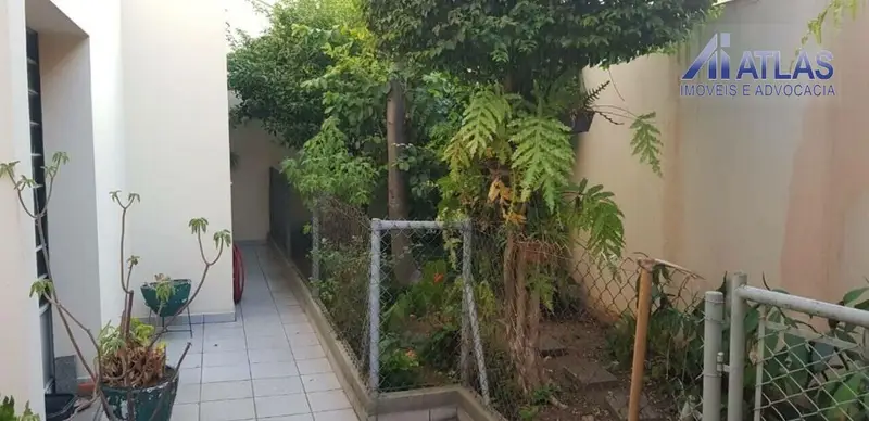 Casa - 3 quartos - Vila Maria Alta - São Paulo - foto 3