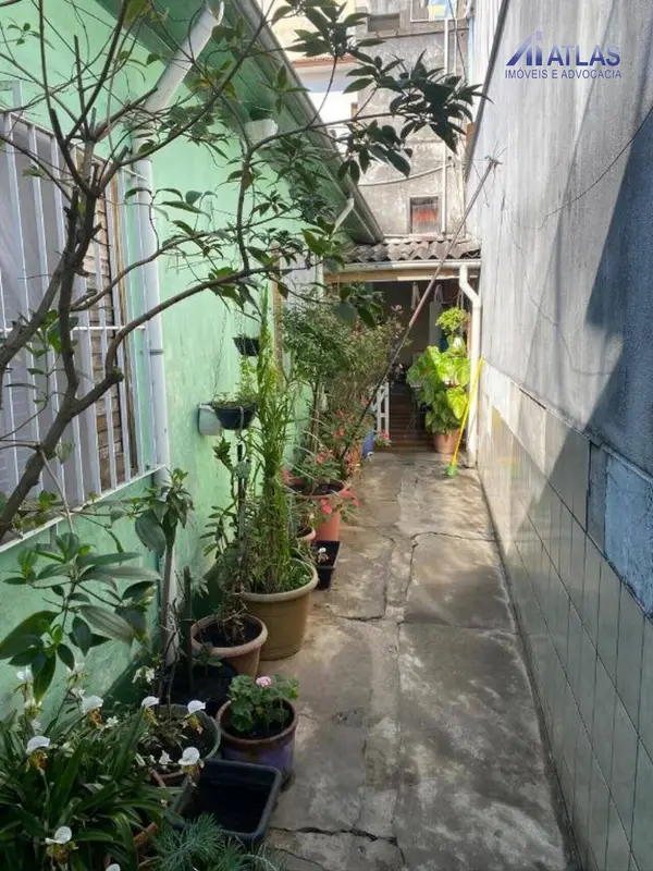 Casa - 3 quartos - Vila Maria Alta - São Paulo - foto 4