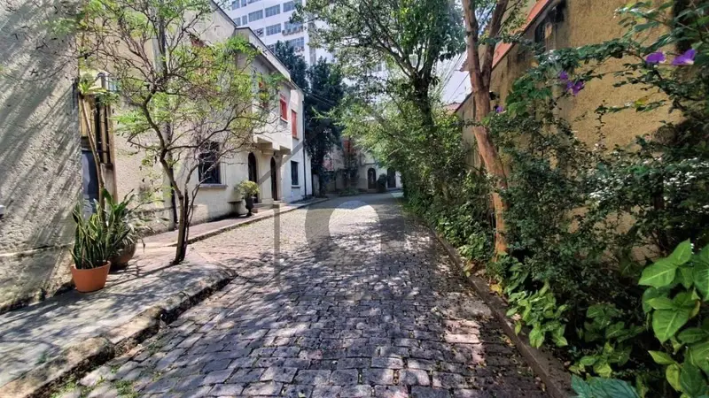 Casa - Higienópolis - São Paulo - foto 3