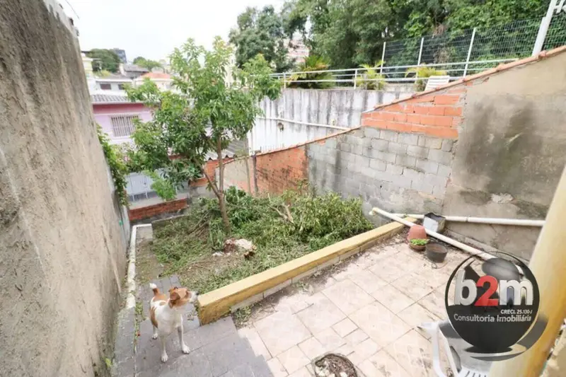 Casa com 4 quartos em Vila Yara - foto 4