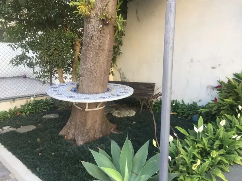 Casa - 5 quartos - Aclimação - São Paulo - foto 4