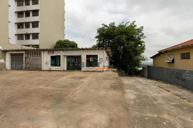 Casa - Alto da Lapa - São Paulo - foto 3