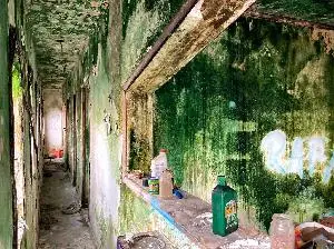 Casa com 5 quartos em Jardim Gonzaga - foto 5