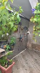 Casa com 3 quartos em Vila Ré - foto 5