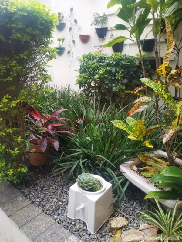 Casa - 3 quartos - Vila Esperança - São Paulo - foto 3