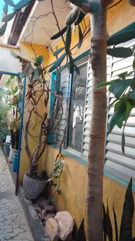 Sobrado - 3 quartos - Vila Araguaia - São Paulo - foto 5