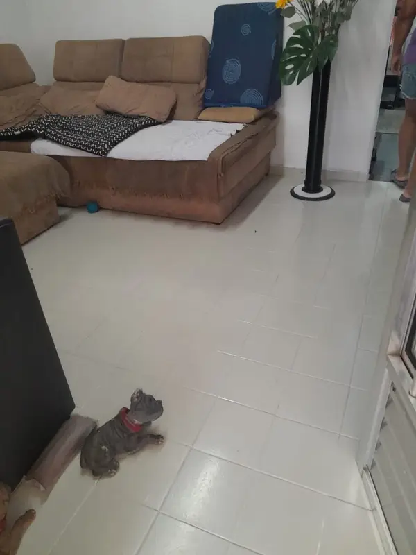 Casa - 2 quartos - Vila São Geraldo - São Paulo - foto 5