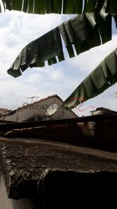 Casa - 2 quartos - Vila São Geraldo - São Paulo - foto 4