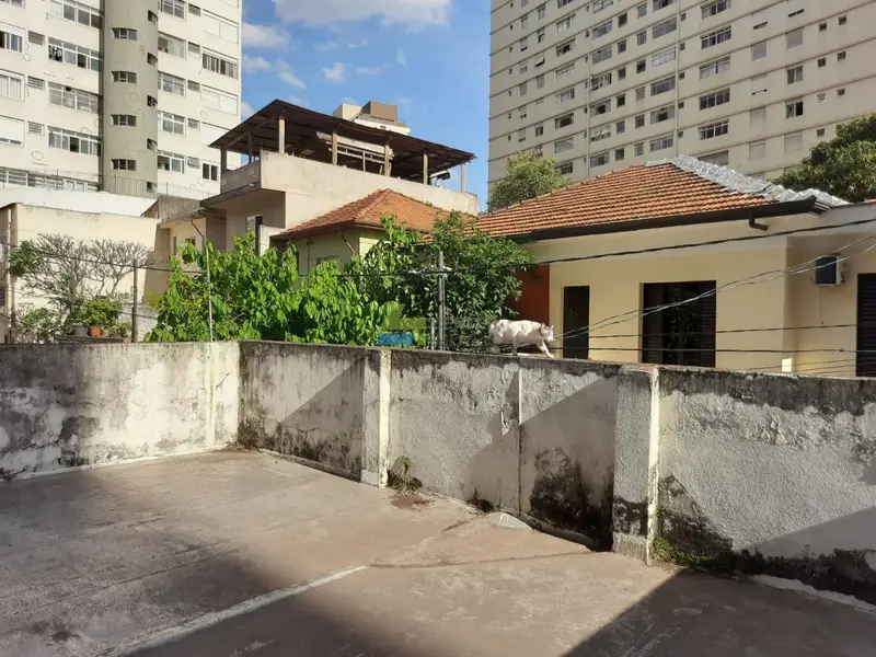 Casa - 3 quartos - Vila Mariana - São Paulo