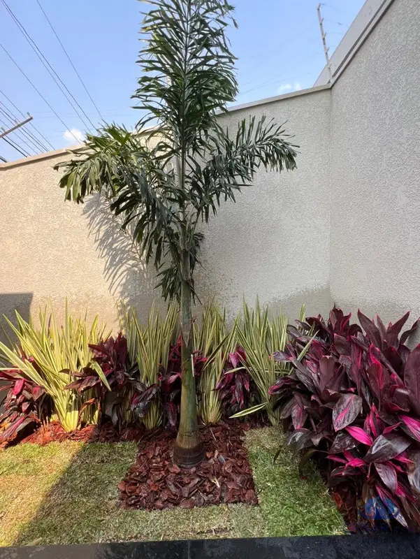 Casa - 3 quartos - Pirituba - São Paulo - foto 4