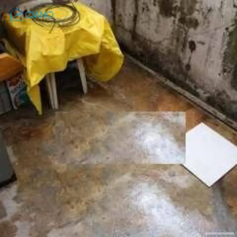 Casa - 3 quartos - Mooca - São Paulo - foto 5