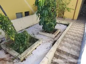 Casa com 3 quartos em Vila Carrão - foto 5