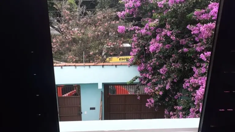 Casa - 5 quartos - Perdizes - São Paulo