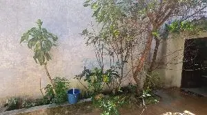 Casa - 3 quartos - Chácara Santo Antônio (zona Leste) - São Paulo