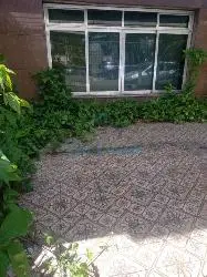 Casa - 4 quartos - Vila Formosa - São Paulo