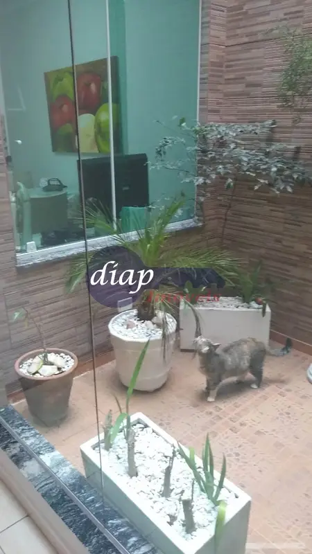 Casa - 3 quartos - Artur Alvim - São Paulo - foto 4