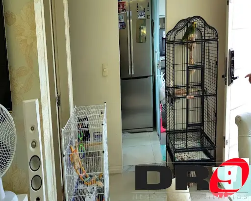 Casa - 3 quartos - Mooca - São Paulo - foto 5