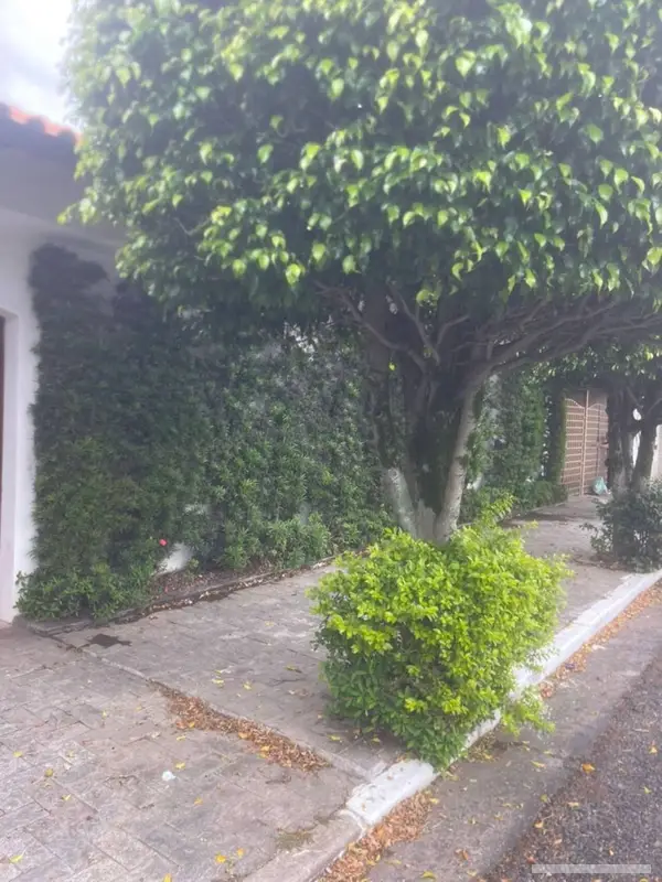 Casa - 3 quartos - Parque Cruzeiro do Sul - São Paulo - foto 2