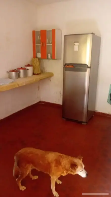 Casa com 2 quartos em Parque Paulistano - foto 5