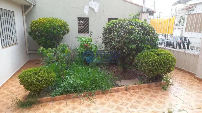 Casa - 4 quartos - Vila Maria - São Paulo - foto 5