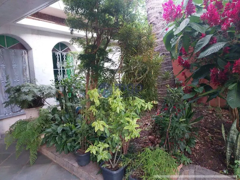 Casa - 3 quartos - Vila Maria - São Paulo - foto 4