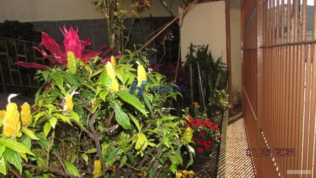 Casa - 2 quartos - Vila Nivi - São Paulo - foto 3