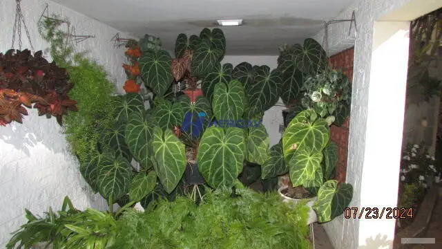 Casa - 2 quartos - Vila Nivi - São Paulo - foto 4