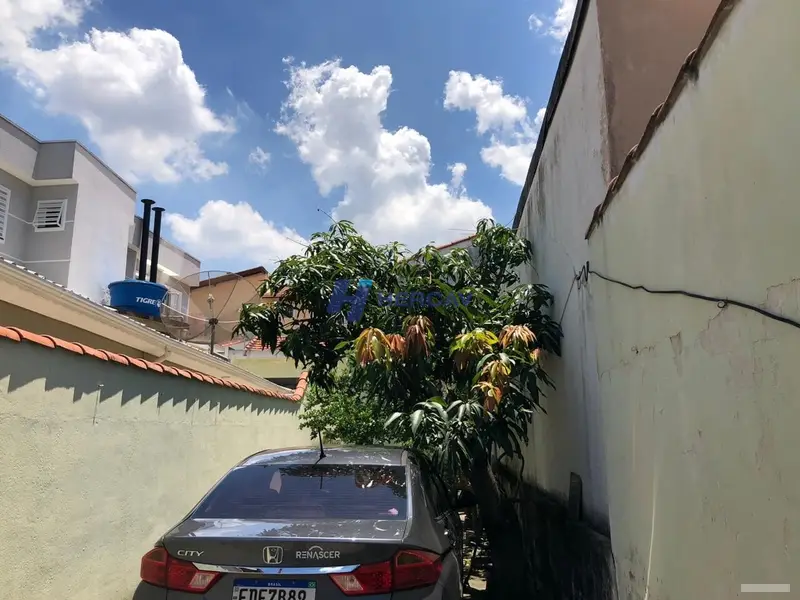 Casa - 3 quartos - Vila Nivi - São Paulo - foto 2