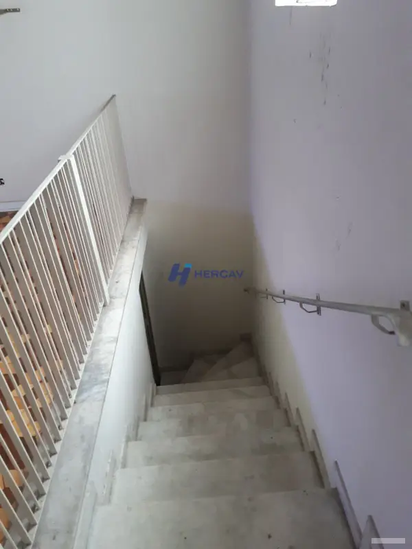 Casa - 3 quartos - Vila Gustavo - São Paulo - foto 5