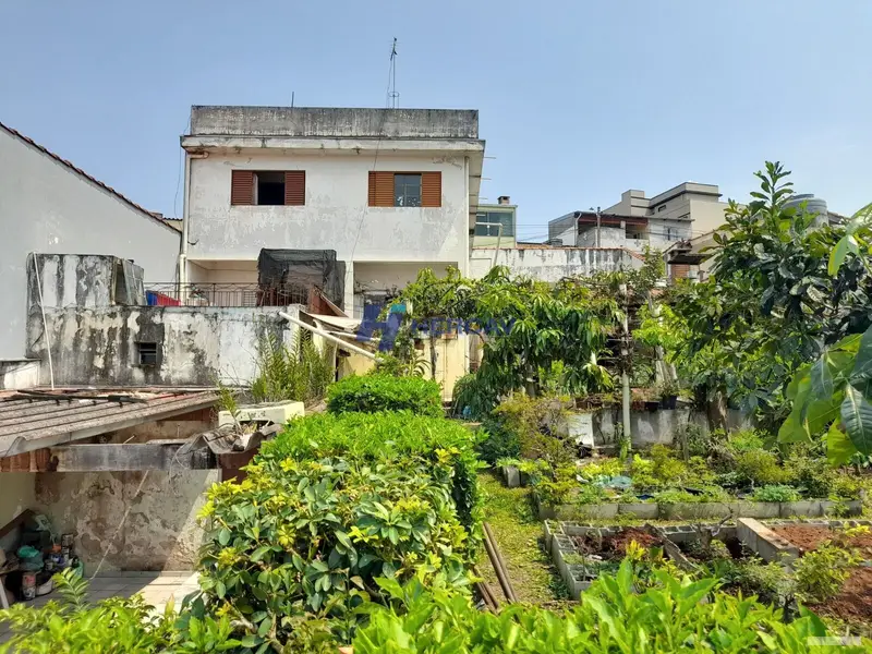 Casa - 4 quartos - Vila Constança - São Paulo