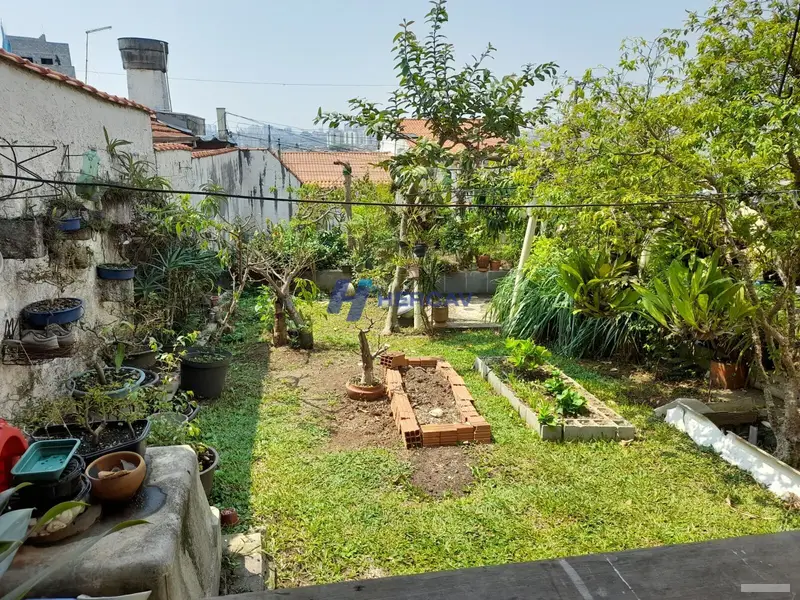 Casa - 4 quartos - Vila Constança - São Paulo - foto 5