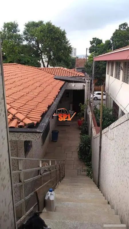 Casa - 4 quartos - Lapa - São Paulo - foto 2