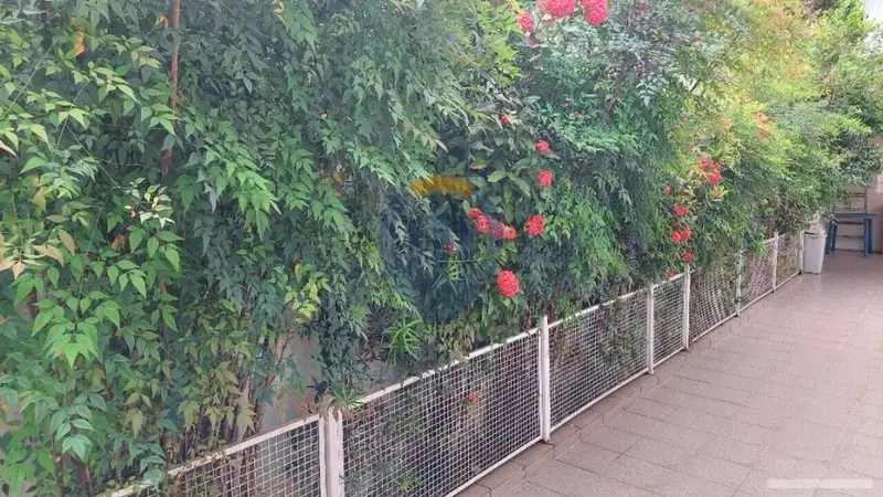 Casa - 3 quartos - Brooklin Paulista - São Paulo - foto 3