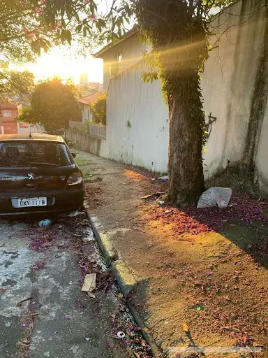 Casa - 4 quartos - Vila Pierina - São Paulo - foto 5