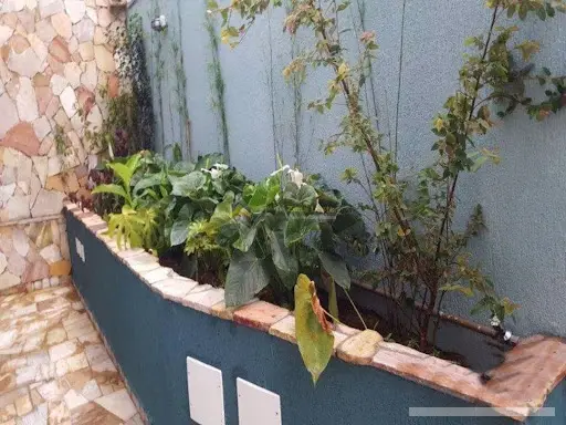 Sobrado - 2 quartos - Vila Mesquita - São Paulo - foto 2