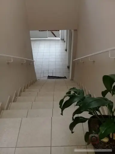 Sobrado - 3 quartos - Jardim Satélite - São Paulo