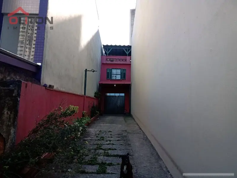 Casa com 4 quartos em Tucuruvi - foto 2