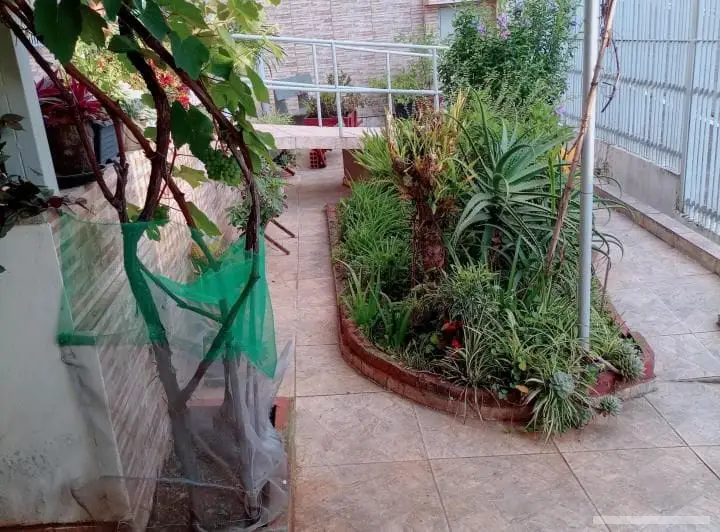 Casa com 3 quartos em Vila Carrão - foto 3