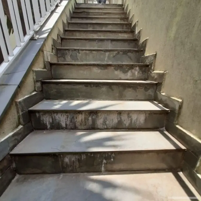 Sobrado com 3 quartos em Vila Matilde - foto 5