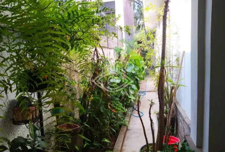 Casa - 3 quartos - Vila Ida - São Paulo