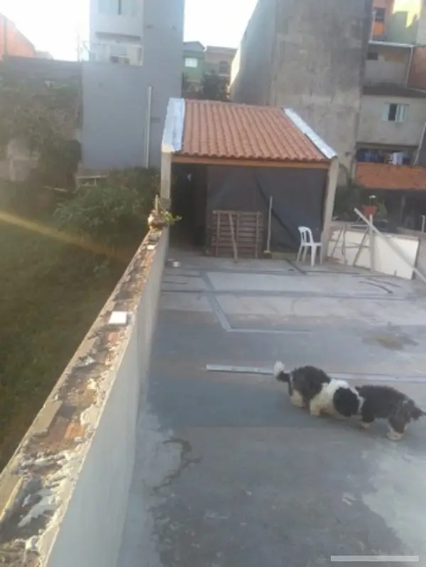 Casa com 2 quartos em Vila Prudente - foto 4