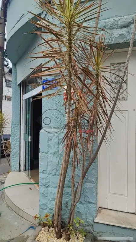 Casa com 3 quartos em Santana - foto 4