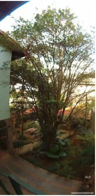 Casa com 3 quartos em Vila Albertina - foto 4