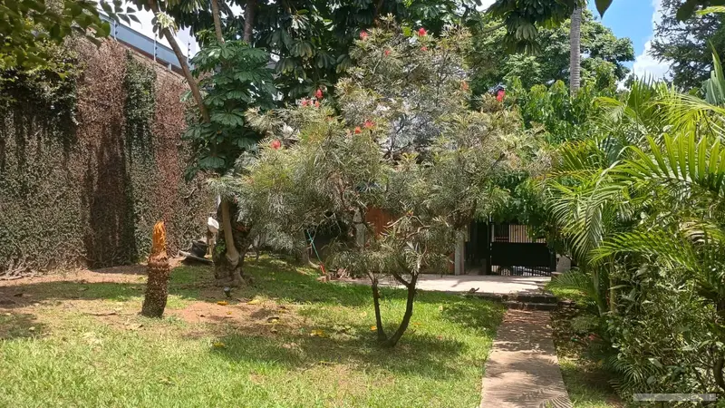 Casa - 3 quartos - Vila Albertina - São Paulo