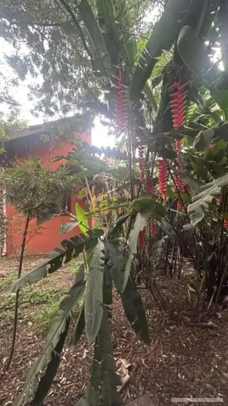 Casa com 3 quartos em Jardim Paulistano - foto 5